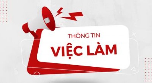 [IT JOB] Thông báo tuyển dụng lao động cho Ban Chuẩn bị khai thác Cảng HKQT Long Thành, Tổng công ty Cảng hàng không Việt Nam - CTCP